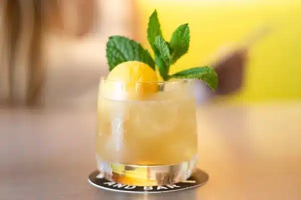 whiskey fizz cocktail with lemon and mint