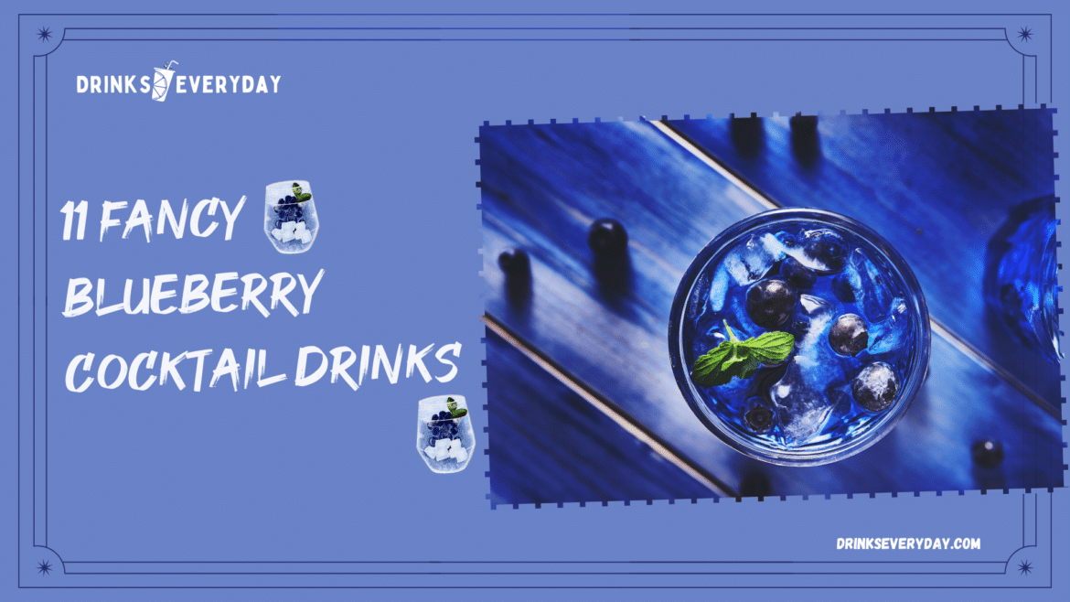 blueberry cocktail drinks